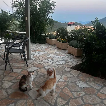Дом отдыха Casa Di Tsanes *